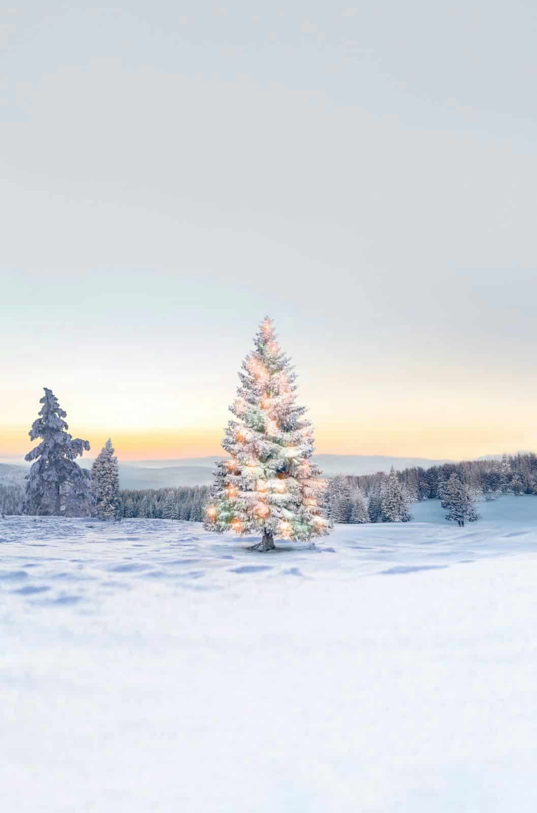 Everything You Need to Know About Booking Your TUI Lapland 2027 Family Holiday! Everything You Need to Know About Booking Your TUI Lapland 2027 Family Holiday!
