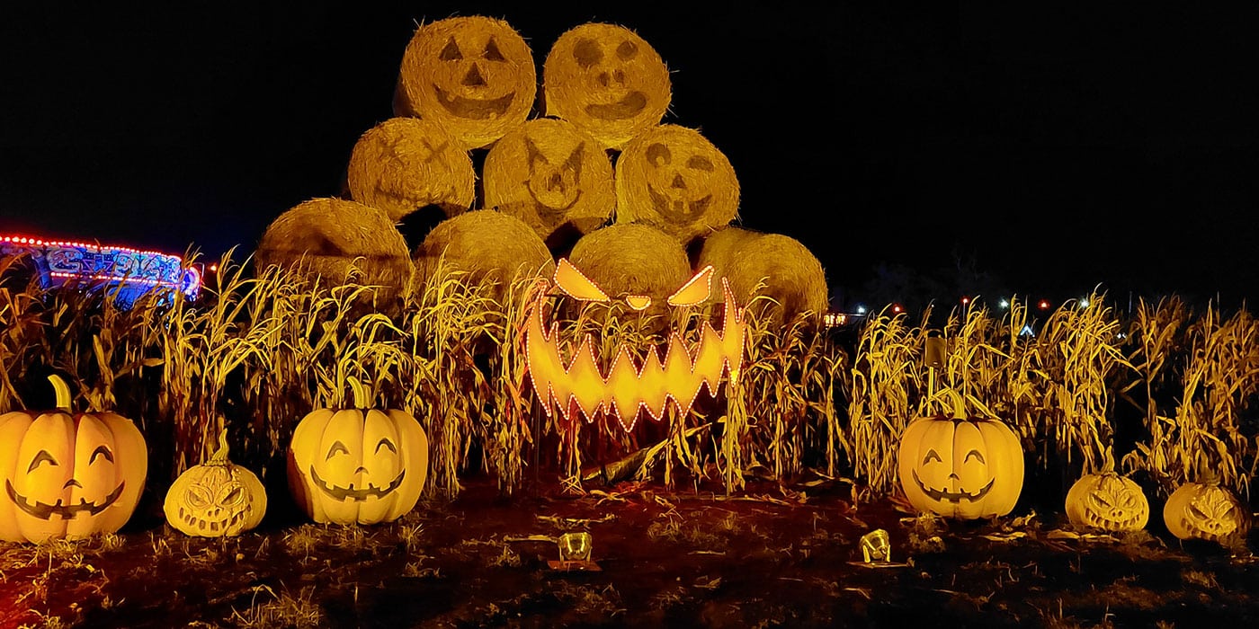 Cattows Farm Halloween & Pumpkin Picking 2026 Guide! Cattows Farm Halloween & Pumpkin Picking 2026 Guide!