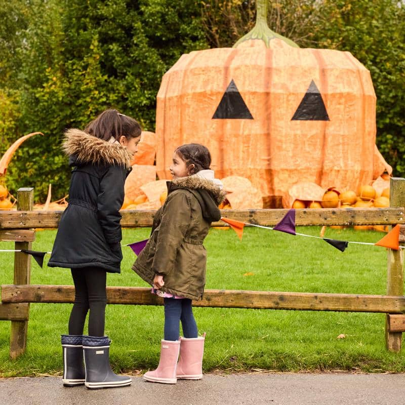 Top 10 Halloween Events South Wales 2026: Spooky Family Fun! Top 10 Halloween Events South Wales 2026: Spooky Family Fun!