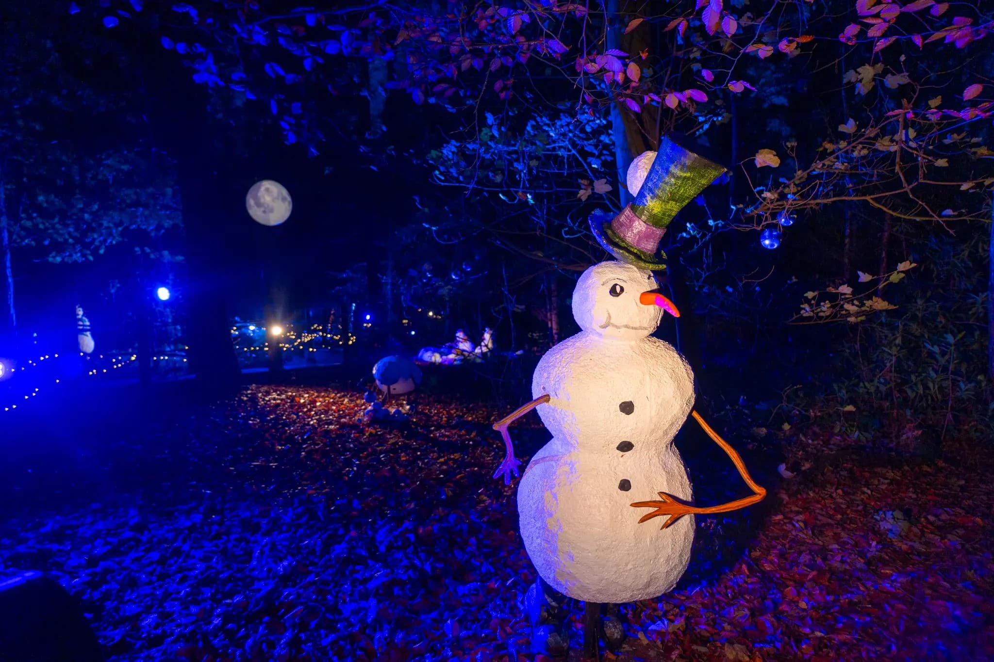 BeWILDerwood Presents Christmas 2026: Cheshire BeWILDerwood Presents Christmas 2026: Cheshire