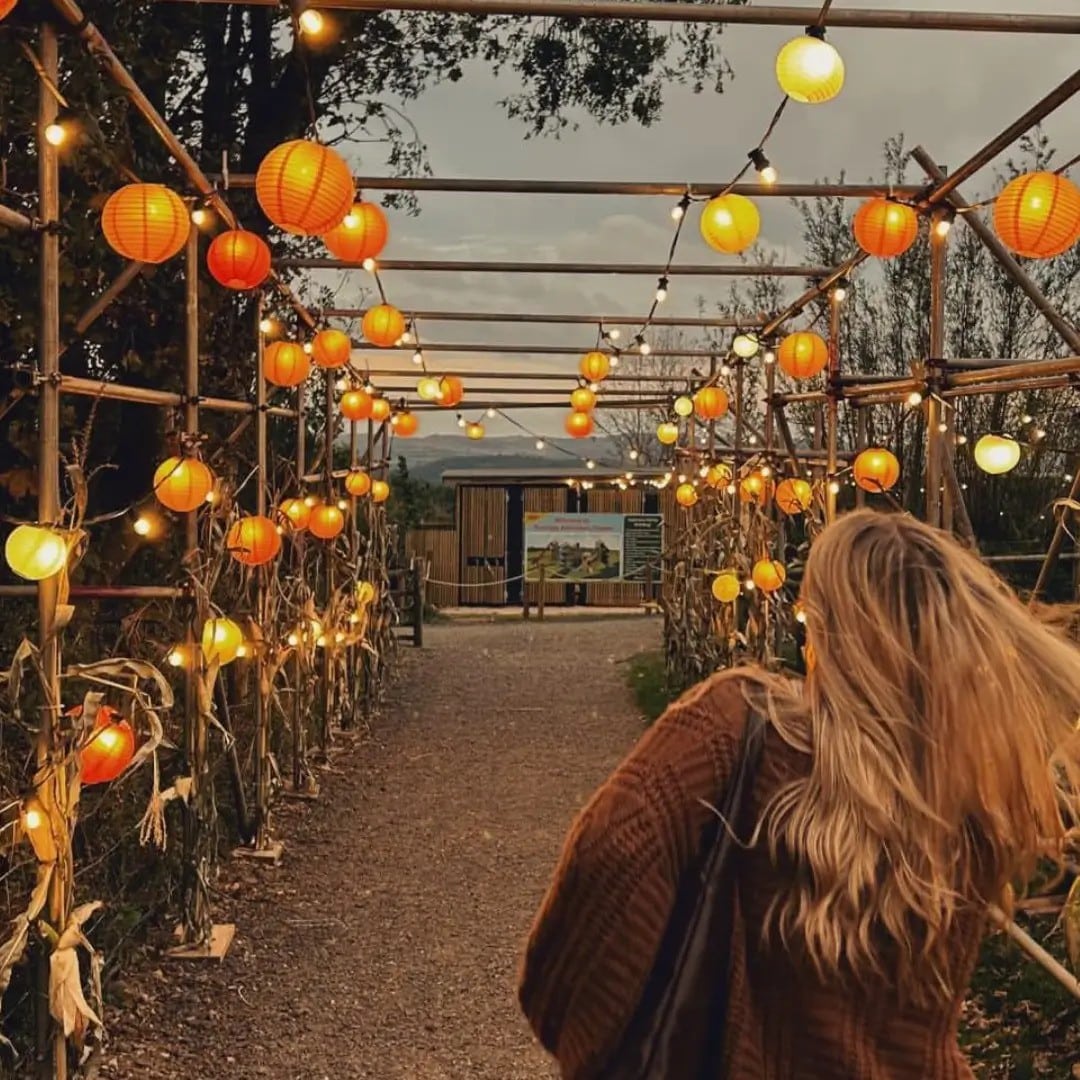 Pennywell Pumpkin Festival 2026: Dates, Activities, and Entry Pennywell Pumpkin Festival 2026: Dates, Activities, and Entry