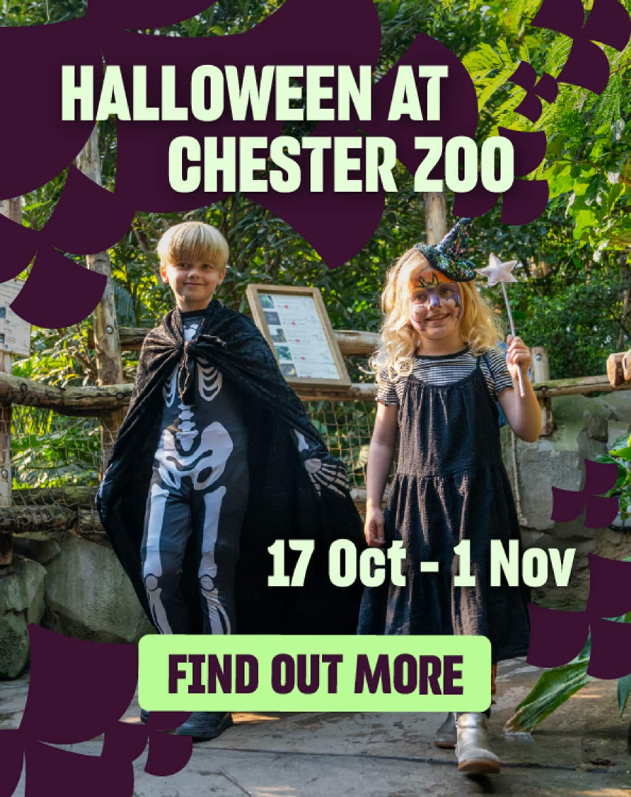 Halloween Events Halloween Top Trumps Trail at Chester Zoo 2026